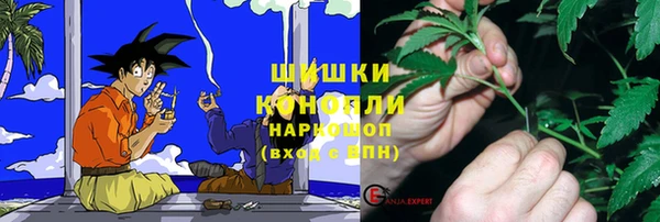 хмурый Бронницы