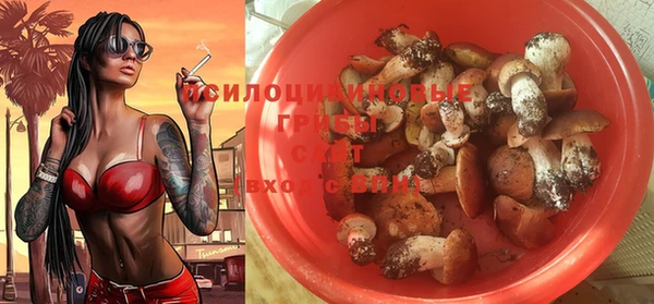 альфа пвп Бородино